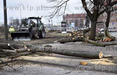 Gdańsk. Wycinka drzew przy parkingu na ul. Okopowej...