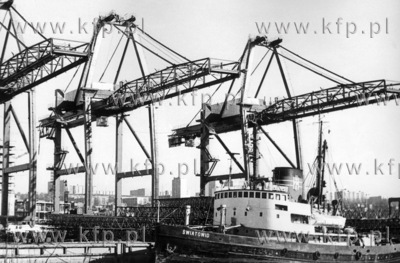 Budowa terminalu kontenerowego w Gdyni. 05.1979 Fot....