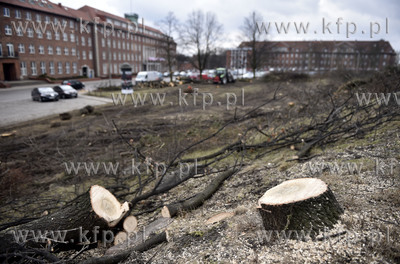 Gdańsk. Wycinka drzew przy parkingu na ul. Okopowej...