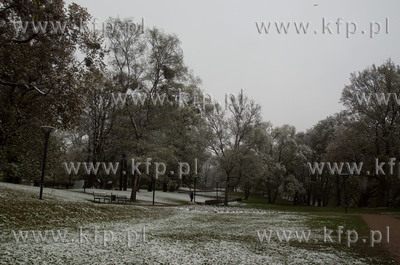 Zima w maju. Gdańsk, park w okolicy Cetrum Hewelianum....