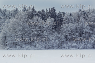 Jezioro Otomińskie w zimowej szacie. 03.03.2018 fot....