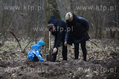 Sobotnie sadzenie drzew w Parku Ronalda Reagana w Gdańsku.
25.03.2017
fot....