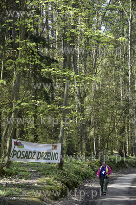 Sadzenie lasu przez gdańszczan przy Lipnickiej Drodze...