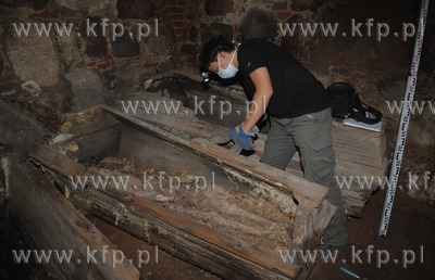 Sulmin. Prace archeologiczne w Grobowcu Gralathow....