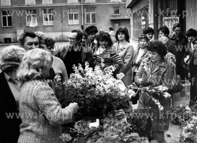 Sprzedaz sadzonek kwiatow w Gdansku. 24.05.1987 odb_11_09_01...