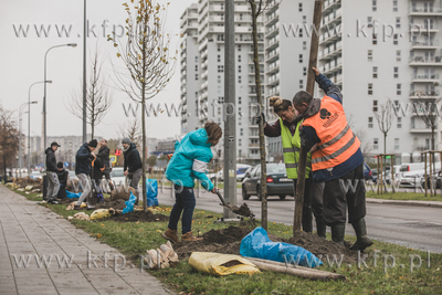 Akcja sadzenia drzew wzdłuż ulicy Obrońców Wybrzeża...