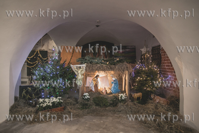 Szopka Bożonarodzeniowa w kościele św. Katarzyny...