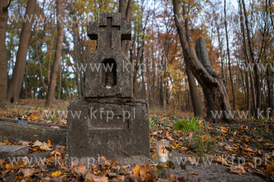 Gdańsk. Stary cmentarz w lesie obok kościała w Brętowie....