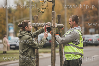 Akcja sadzenia drzew wzdłuż ulicy Obrońców Wybrzeża...