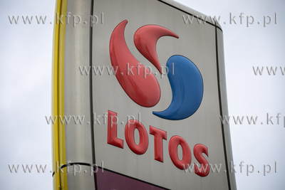 Oświadczenie w sprawie sprzedaży Grupy Lotos - briefing...