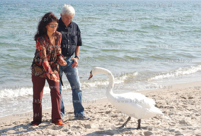 XXXI Festiwal Polskich Filmow Fabularnych w Gdynia....