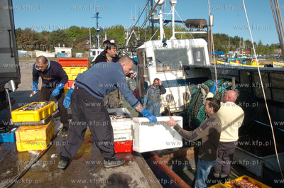 Ustka port, rozladunek zlowinych ryb z kutra Ust-122.
12.05.2009...