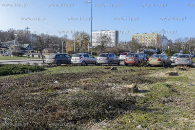 Wycinka drzew wzdłuż ul. Waszyngtona w Gdyni, która...