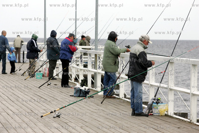 Wedkarze lowiacy belone z mola w Gdyni Orlowie. 18.05.2005...
