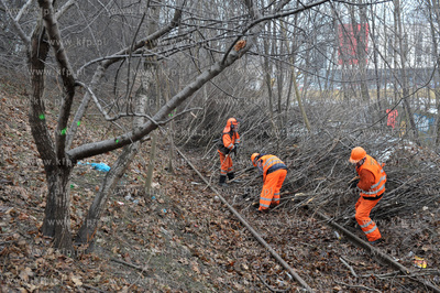 Wycinka drzew pod budowe Pomorskiej Kolei Metropolitalnej...