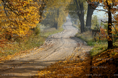 Sulmin na Kaszubach Droga od strony Lezna.. 21.10.2012...