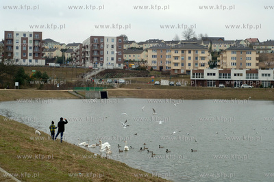 Staw, zbiornik retencyjny pomiedzy Szadolkami, a Zakoniczynem,...