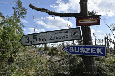 Skutki wichury na Pomorzu. Zniszczony przez wiatr las...