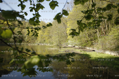 Sopockie Morskie Oko czyli Staw Nowowiejskiego malowniczy...