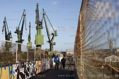 Zurawie w Stoczni Gdanskiej.
28.11.2013
fot. Krzysztof...