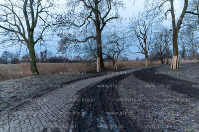 Rewitalizacja Opływu Motławy. 03.02.2023 fot. Paweł...