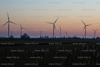 Żuławy Gdańske. 16.02.2019 / Fot. Anna Rezulak /...