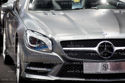 Gdansk. Ergo Arena. IV Trojmiejskie Targi Motoryzacyjne....