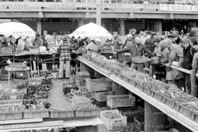 Kiermasz ogrodniczy przed hala Olivia w Gdansku Oliwie...