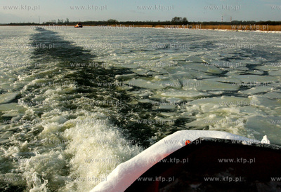 Szczecin. Wspolna akcja polskich ( Dzik, Lis, Zbik,...