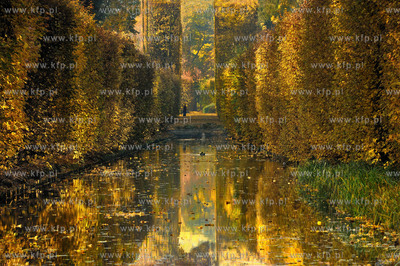 Gdansk Oliwa Park. Fragment parku z basenem parkowym.Poczatkiem...