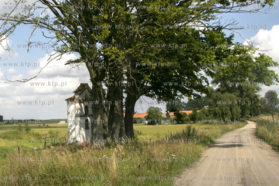 Wieś Wapnik na Warmii. Przy polnej drodze w kierunku...