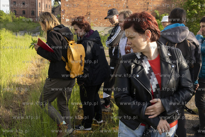 Botaniczny Pruszcz. Spacer badawczy śladem roślin...