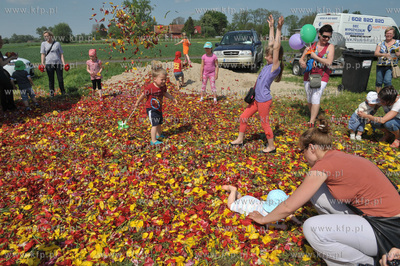 Zulawski Tulipan -  piata edycja imprezy zorganizowanej...