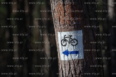 Świbno. 06.04.2019  Fot. Anna Rezulak/KFP