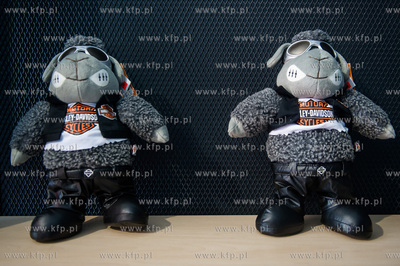 Gdansk. Otwarcie nowego salonu sprzedazy oraz serwisu...