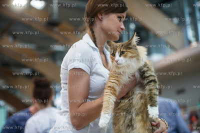 Hipodrom Sopot. Międzynarodoa Wystawa Kotow Rasowych...