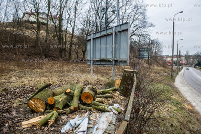 Gdańsk. Wycięte drzewa na jednej z działek przy...