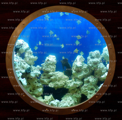 Juz wkrotcei otwarcie Portu Rumia Centrum Handlowego...