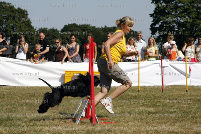 Sopocka Wystawa Psow Rasowych. W trakcie wystawy odbywaly...