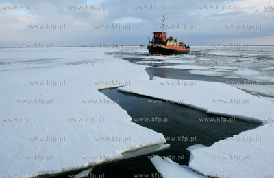 Szczecin. Wspolna akcja polskich ( Dzik, Lis, Zbik,...