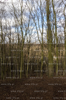 Park Ferberów w okolicach Traktu św. Wojciecha w...