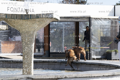 Gdynia. Skwer Kościuszki, weekend majowy. Od dziś...