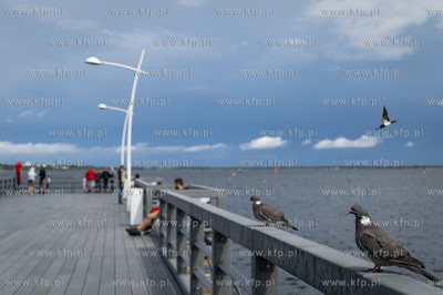 Otwarcie Mariny Puck. 

22.07.2023 Fot. Anna Bobrowska...