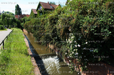Gdansk Wrzeszcz, Park nad Strzyza.
03.07.2009
fot....