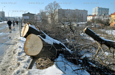 Wycinka drzew pod budowe nowej Trasy Slowackiego. Nz....