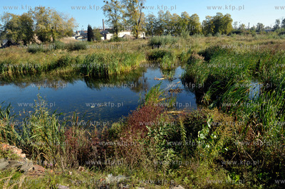 Porosniete sitowiem zbiorniki wodne, brzegi z niedostepnymi...