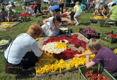 Zulawski Tulipan -  piata edycja imprezy zorganizowanej...