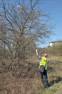 Gdansk Chelm, Jar Wilanowski. Akcja: Wielkie sprzatanie...