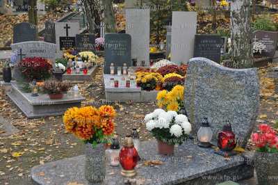 Cmentarz Srebrzysko. Gdańsk Wrzeszcz. 1.11.2014 Fot....