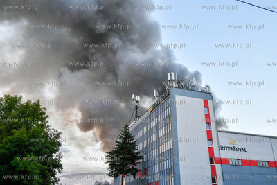 Pożar hali magazynowej w Nowym Porcie w Gdańsku....